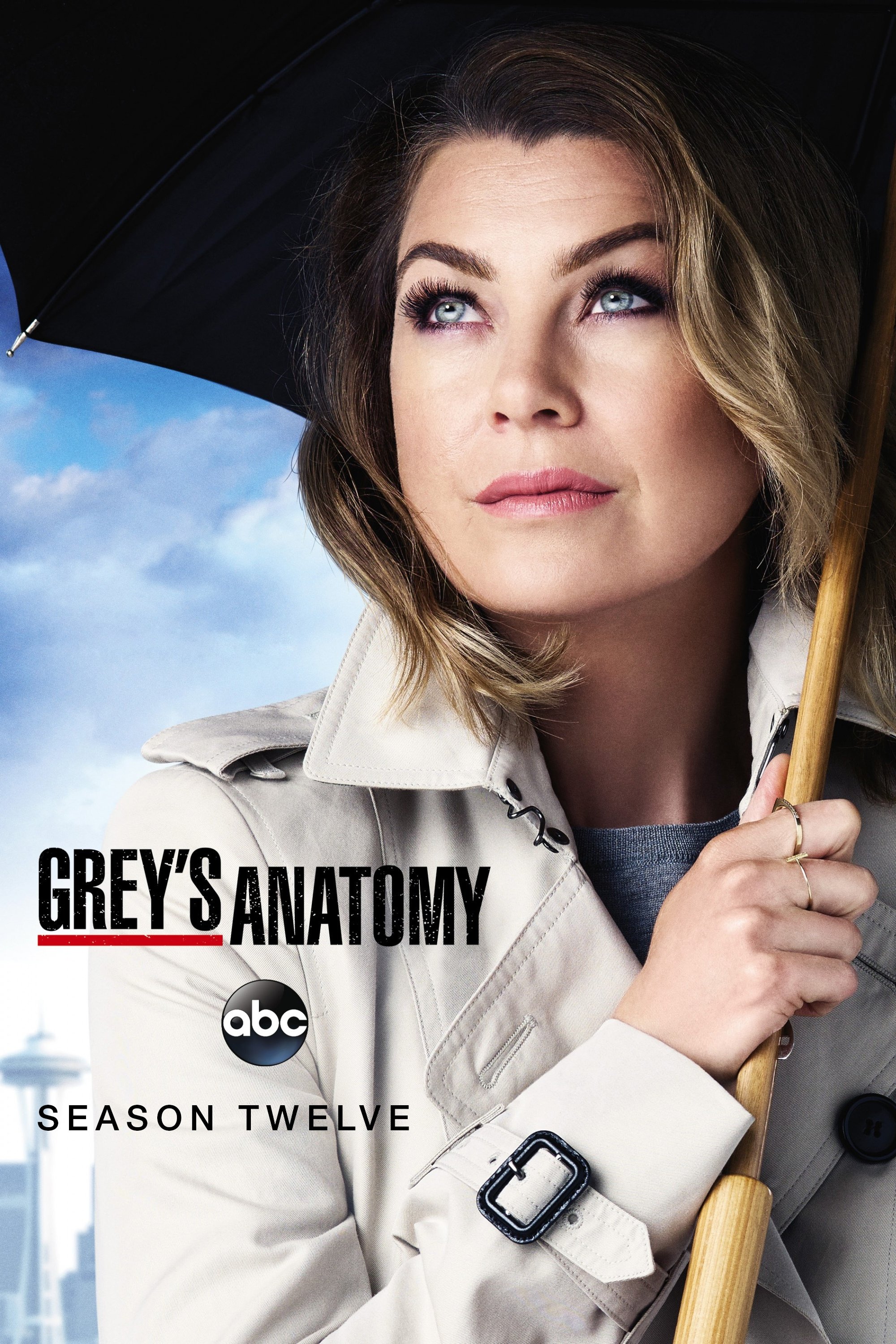 Grey's Anatomy - Season 12 [13873] (A1763985342) [[Shows]] --Plex--